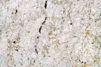 Harzburgite LPNA x3,5